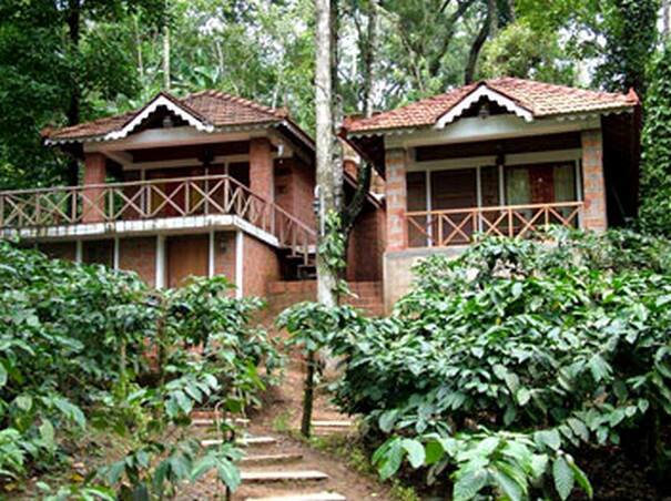 Forest Flower Home Stay, Madikeri 1